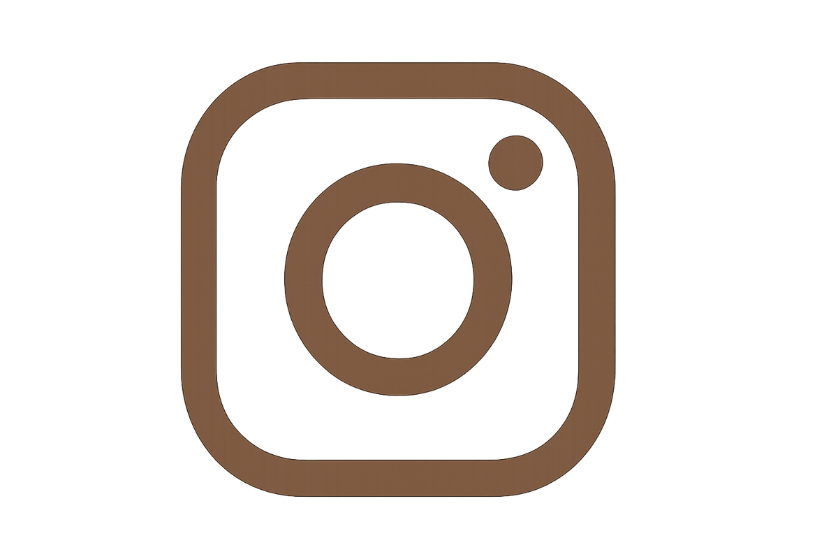 icona instagram marrone png fine